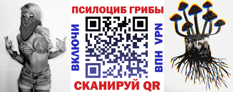 Галлюциногенные грибы Psilocybe  Красноперекопск 